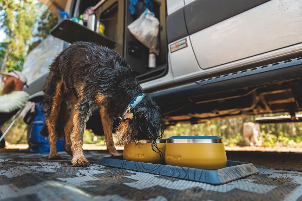 NEW! Basecamp Bowl - Stainless Steel Dog Bowl