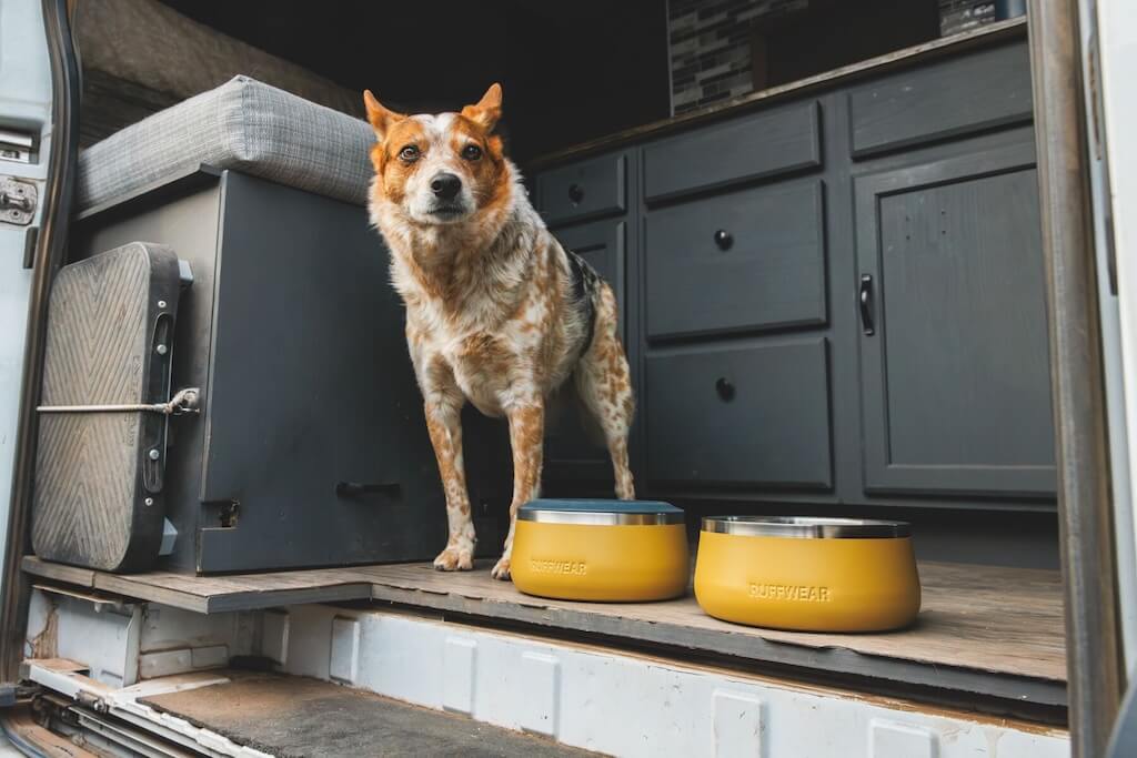 NEW! Basecamp Bowl - Stainless Steel Dog Bowl