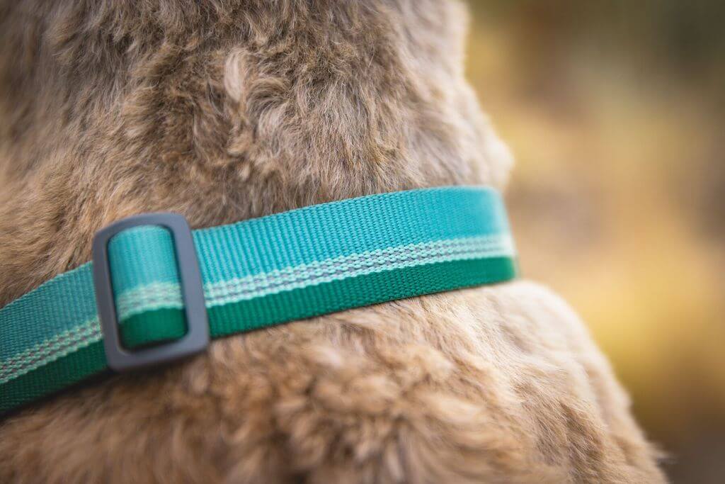 Ruffwear Chain Reaction Dog Collar Close up showing the Tubelok Webbing