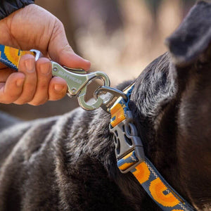 Ruffwear Crag Leash showing close-up of Crux Clip