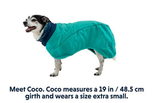 Dirtbag Dog Drying Towel - Post-Adventure, Absorbent Dog Coat