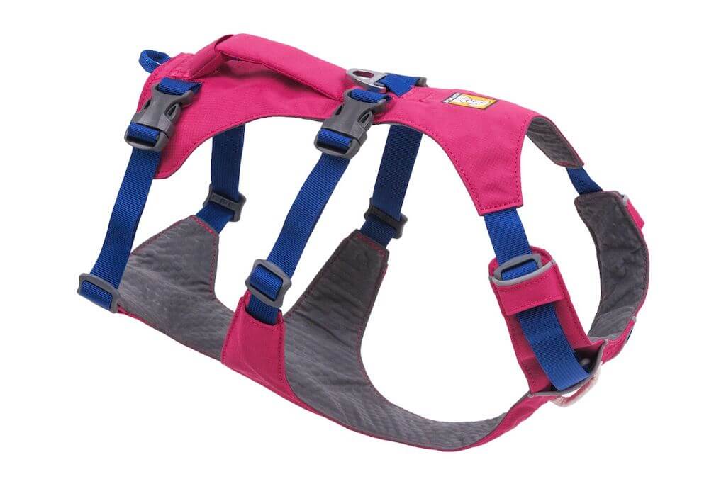 Ruffwear Flagline Dog Harness in Alpenglow Pink
