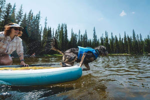 NEW COLOURS!  Float Coat - Premium Dog Life Jacket by Ruffwear
