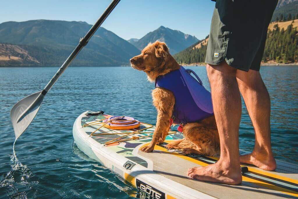 NEW COLOURS!  Float Coat - Premium Dog Life Jacket by Ruffwear