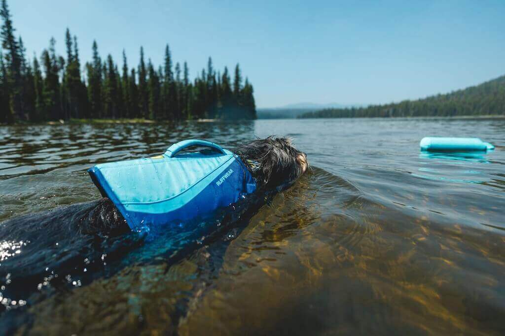 NEW COLOURS!  Float Coat - Premium Dog Life Jacket by Ruffwear