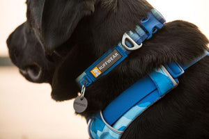Front Range Dog Collar - Soft, Durable