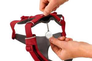 Ruffwear Front Range Dog Harness in Red Canyon showing with the ID Tag can be attached.