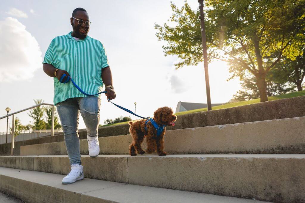 Front Range Dog Leash - Classic, Strong Dog Lead