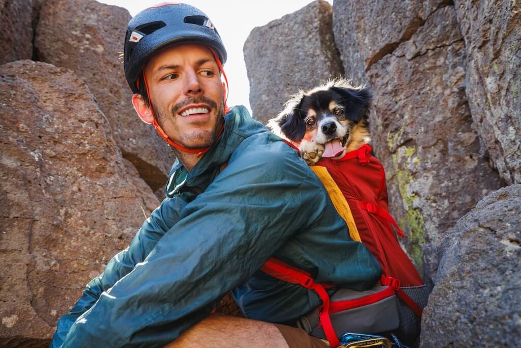 Small dog in a Ruffwear Hitch Hiker Backpack on owners back while rock climbing