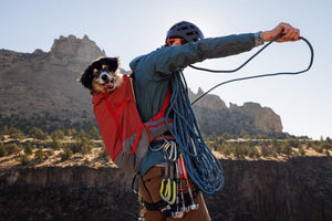 Small dog in a Ruffwear Hitch Hiker Backpack on owners back getting ready to repel