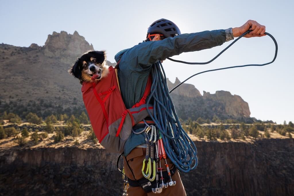 Small dog in a Ruffwear Hitch Hiker Backpack on owners back getting ready to repel