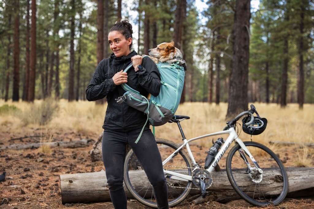 Small dog in a Ruffwear Hitch Hiker Backpack getting put on human's back