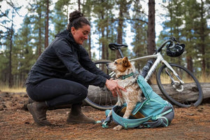Small dog being put in a Ruffwear Hitch Hiker Backpack by owner