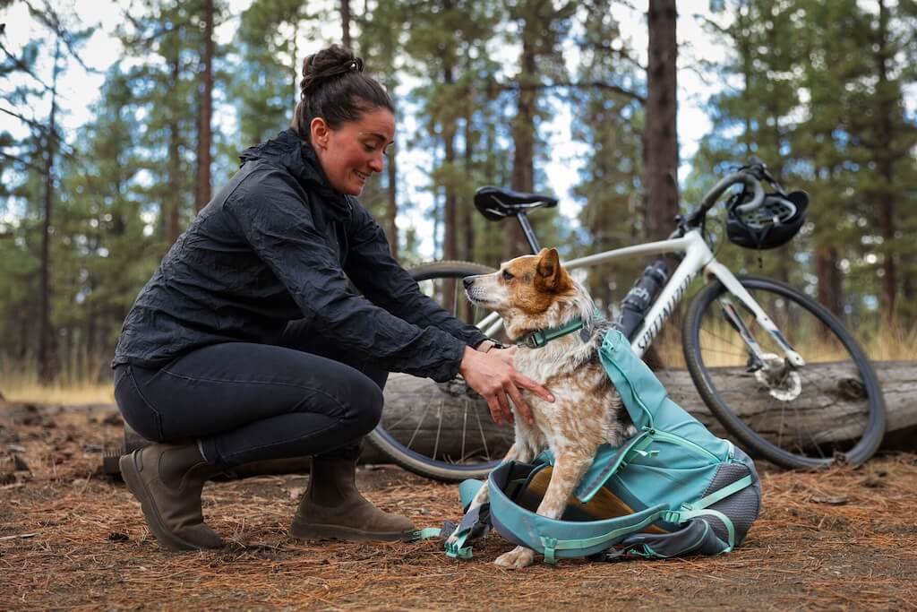 Small dog being put in a Ruffwear Hitch Hiker Backpack by owner