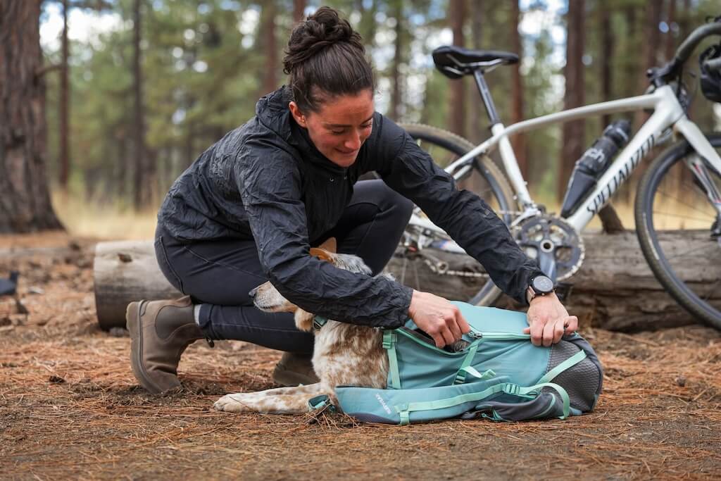 Small dog in a Ruffwear Hitch Hiker Backpack zipping up the side
