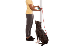 Hitch Hiker Leash - Portable Hitch & Leash Combo