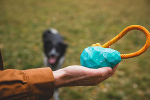 Huck-a-Cone Dog Toy