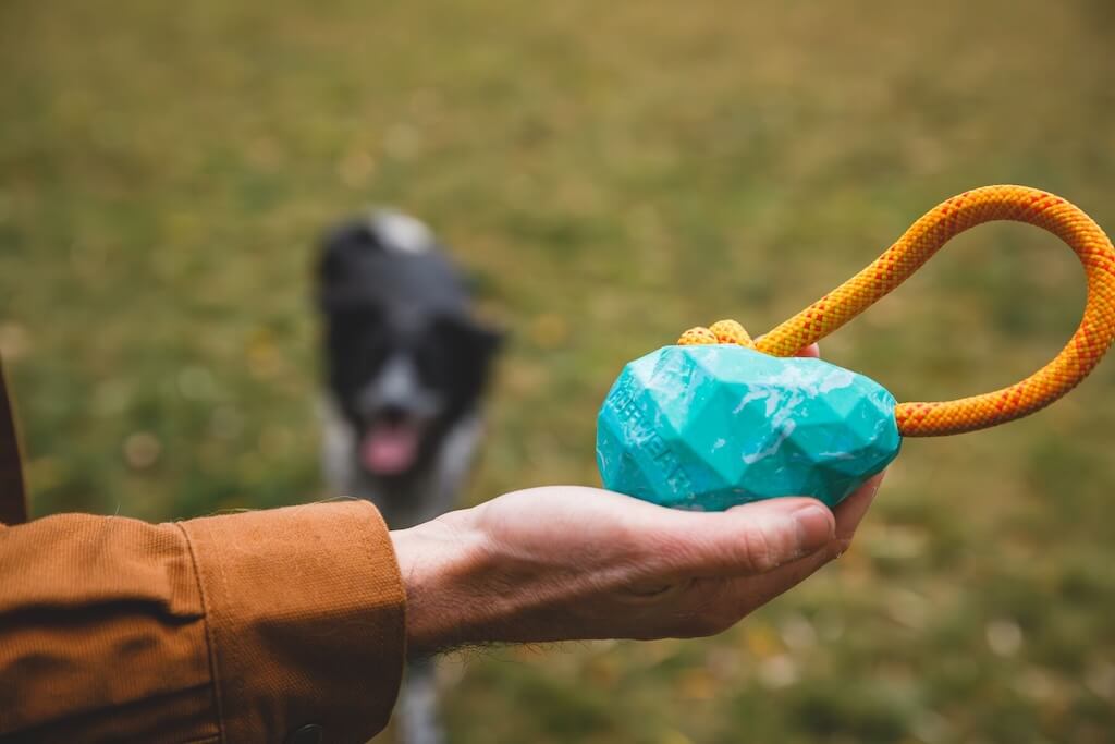 Huck-a-Cone Dog Toy