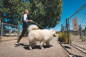 NEW 2025 DESIGN! Knot-a-Long - Short, Strong Dog Lead with Locking Carabiner