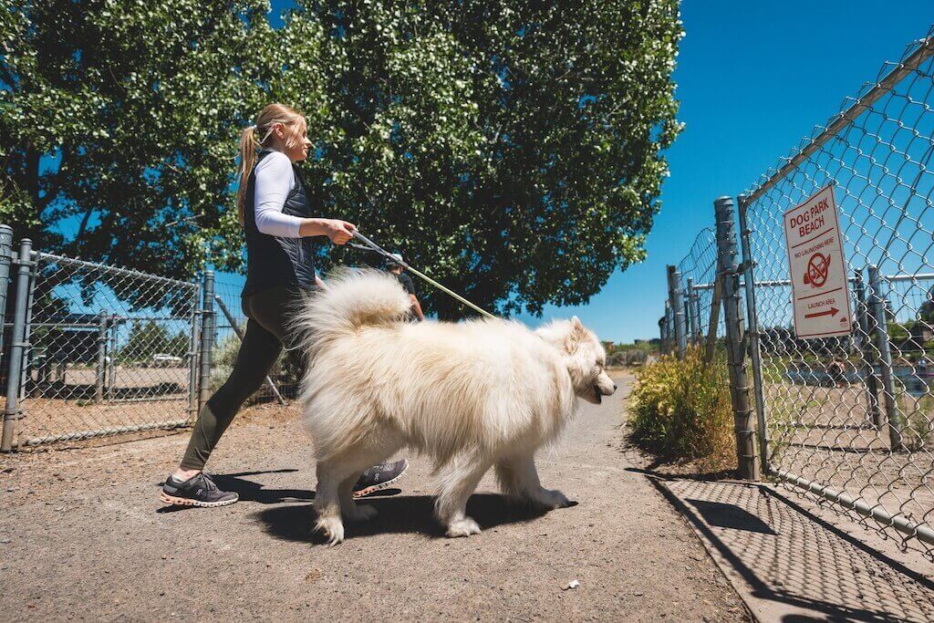NEW 2025 DESIGN! Knot-a-Long - Short, Strong Dog Lead with Locking Carabiner