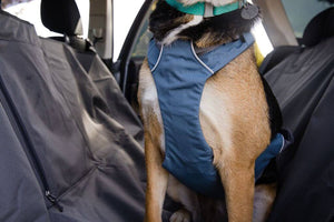 Load Up Dog Car Harness - Secure, Strong Harness