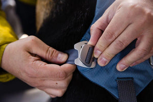 Load Up Dog Car Harness - Secure, Strong Harness