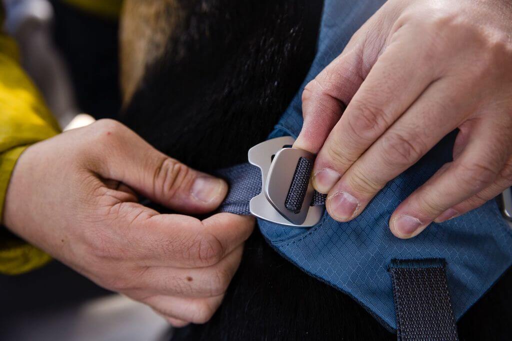 Load Up Dog Car Harness - Secure, Strong Harness