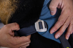 Load Up Dog Car Harness - Secure, Strong Harness