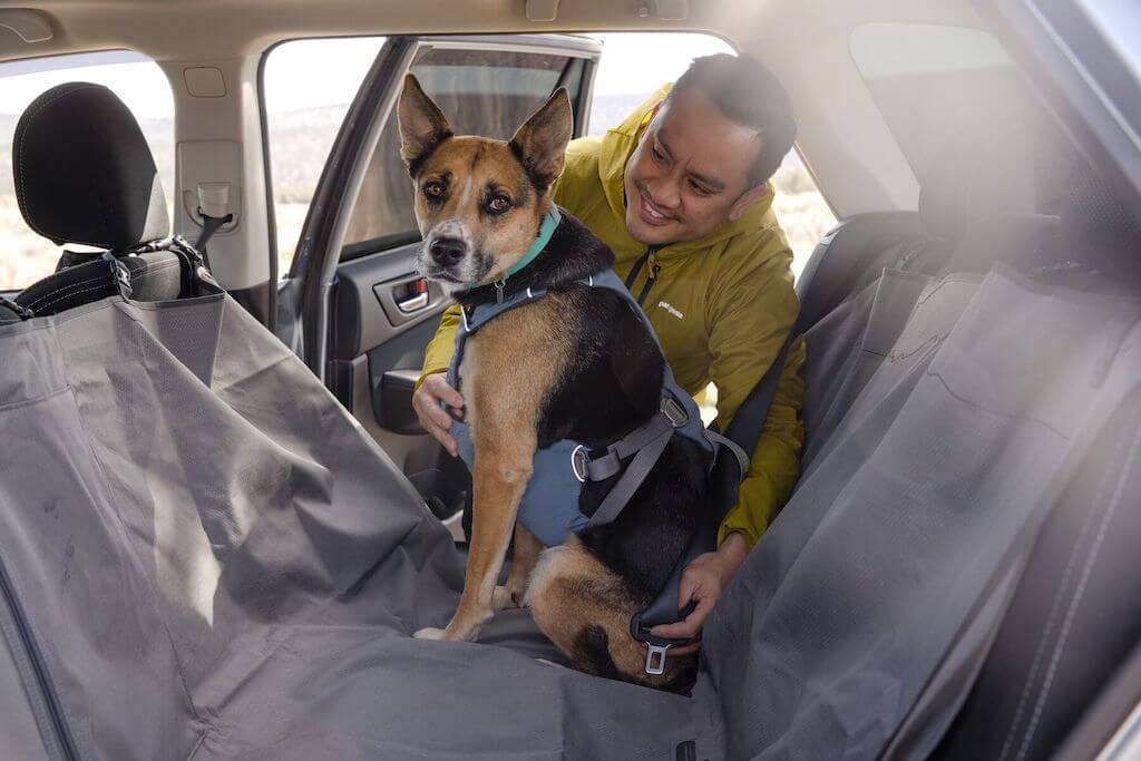 Load Up Dog Car Harness - Secure, Strong Harness