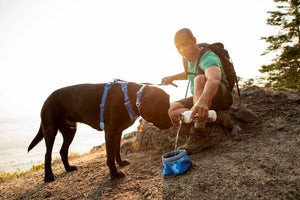 Quencher Bowl - Packable Dog Bowl