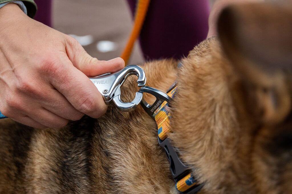 Ruffwear Roamer Dog Leash (Bungee) - Hand-Held or Waist-Worn