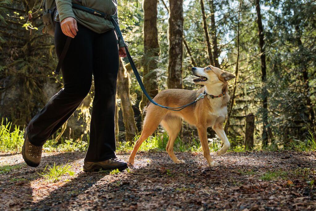 Ruffwear Roamer Dog Leash (Bungee) - Hand-Held or Waist-Worn