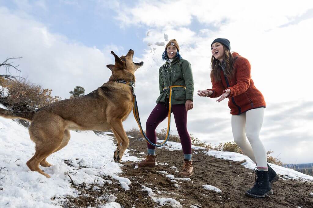 Ruffwear Roamer Dog Leash (Bungee) - Hand-Held or Waist-Worn