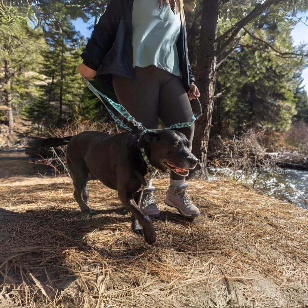 Ruffwear Crag Leash & Collar in Grassy Oxbow pattern on a black dog