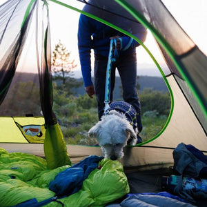 Ruffwear Crag Leash in Alpine Dawn pattern on a white dog camping