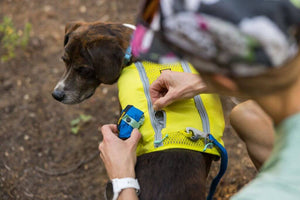 Ruffwear Trail Runner Travel Bowl showing how small it is to pack away