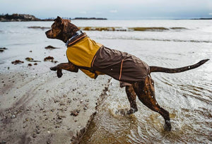 Sun Shower Dog Raincoat - Waterproof, Windproof