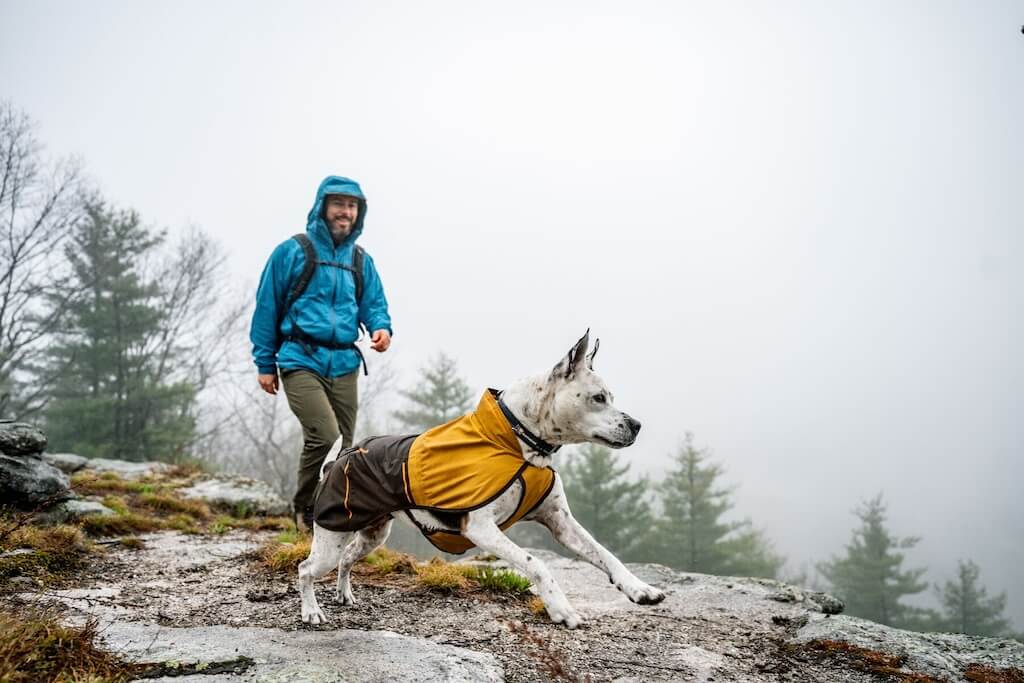 Sun Shower Dog Raincoat - Waterproof, Windproof