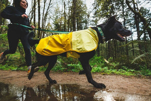 Sun Shower Dog Raincoat - Waterproof, Windproof