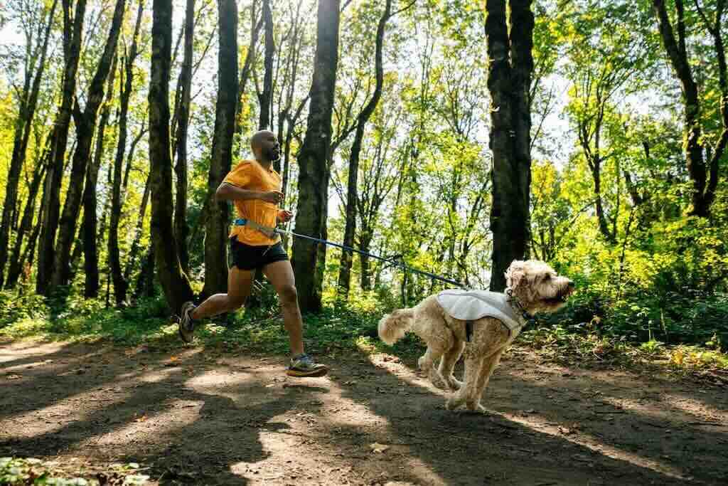 Ruffwear Swamp Cooler - Cooling Dog Vest