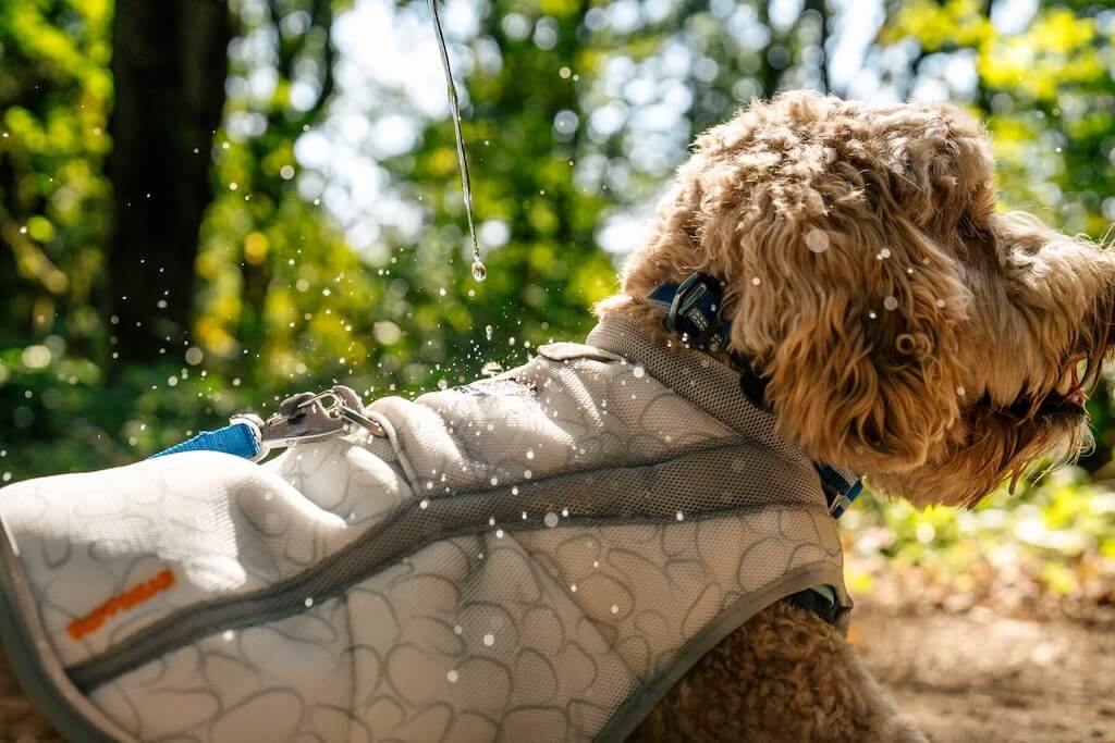 Ruffwear Swamp Cooler - Cooling Dog Vest