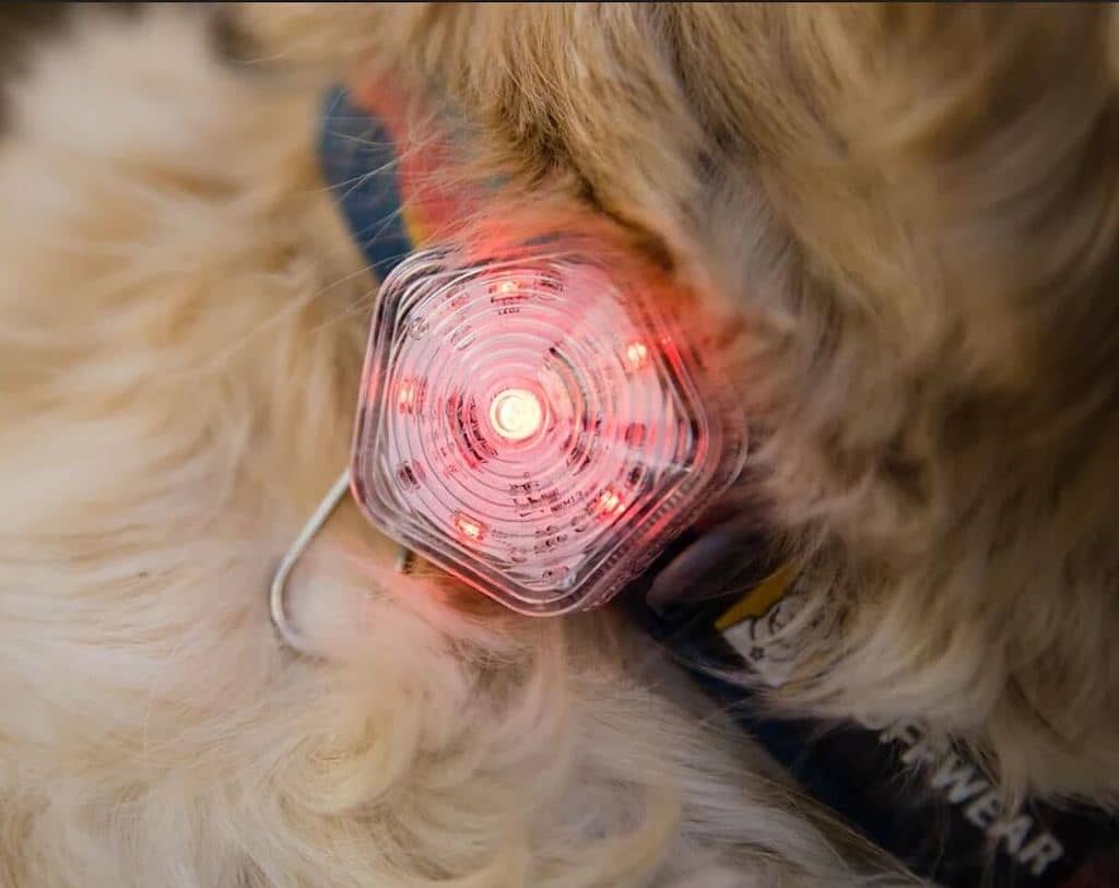 Ruffwear The Beacon - Safety Light
