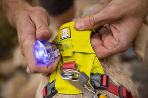 Ruffwear The Beacon - Safety Light