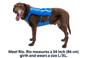 Trail Runner Dog Running Vest - With Hydration Bladders