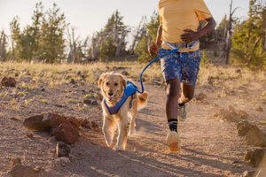 Trail Runner Dog Running Vest - With Hydration Bladders