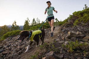 Trail Runner Dog Running Vest - With Hydration Bladders