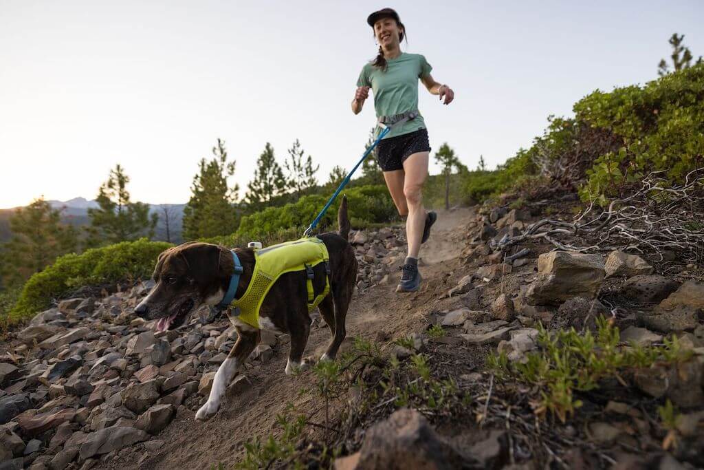 Trail Runner Dog Running Vest - With Hydration Bladders