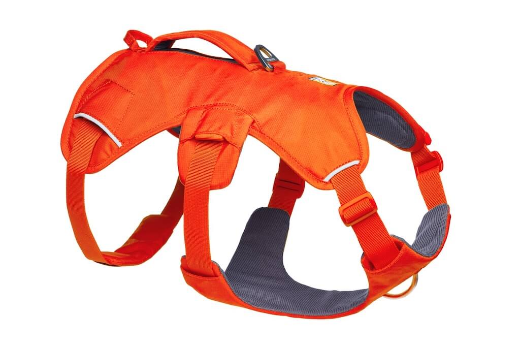 A Blaze Orange Ruffwear Web Master Dog Harness with a secure back lifting handle, chest protection, and multiple leash attachment points.
