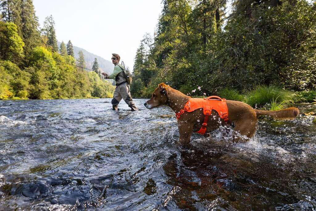 A Blaze Orange Ruffwear Web Master Dog Harness on a dog standing in a creek fishing with his owner.