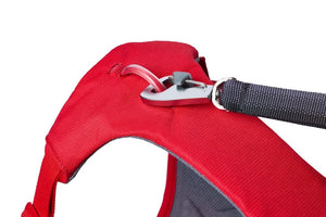 Redesigned 2025! Ruffwear Web Master Dog Harness - Secure, Back Handle, Neck Buckle